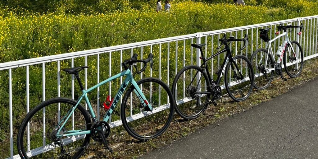 活動日誌の写真