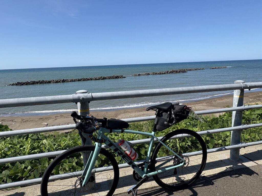 活動日誌の写真