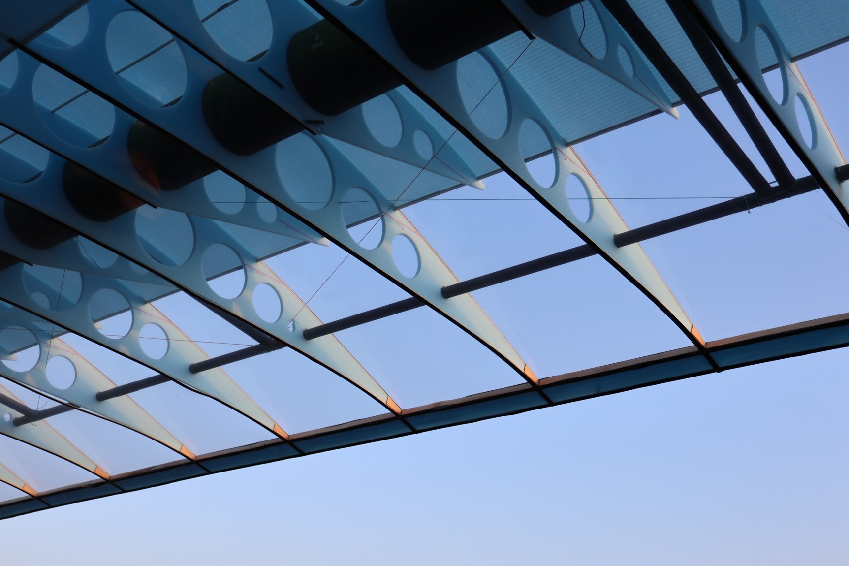 活動日誌の写真