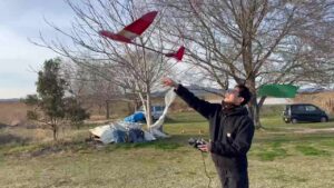 活動日誌の写真